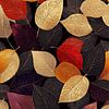 Feuilles | Feuilles d'automne sur fond noir sur Collection Moderne