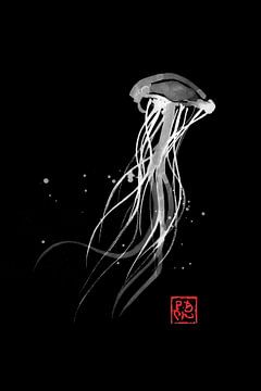 meduse dans le noir