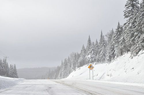 Een landweggetje op een koude winterdag