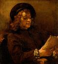 Titus van Rijn, de Zoon van de Kunstenaar, Reading, Rembrandt van Rijn van Rembrandt van Rijn thumbnail