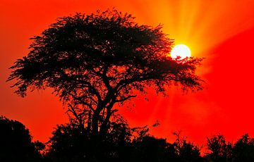 Lever du soleil en Afrique, Ouganda sur W. Woyke