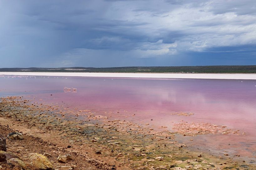 Roze meer van Frank's Awesome Travels