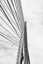 Le pont Erasmus, qui enjambe la Meuse, est un chef-d'œuvre à Rotterdam. Cette photo en dit long. sur Koen Lipman