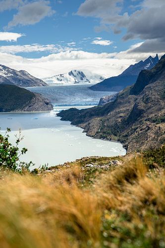 Gletsjer Grey in Patagonie, Chili