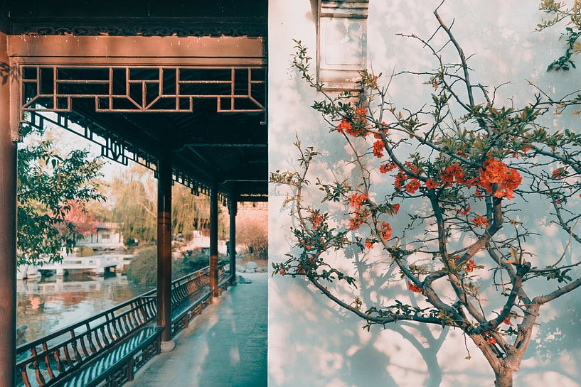 Beijing by Hello Pompoyo