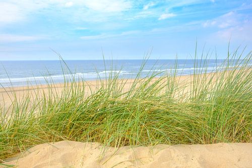 Uitzicht vanaf de duinen op het strand van de Noordzee