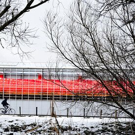 Journée rose sur Truckpowerr