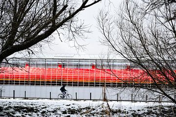 PinkDay van Truckpowerr