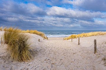 Strand aan de Oostzeekust in Graal Müritz van Rico Ködder