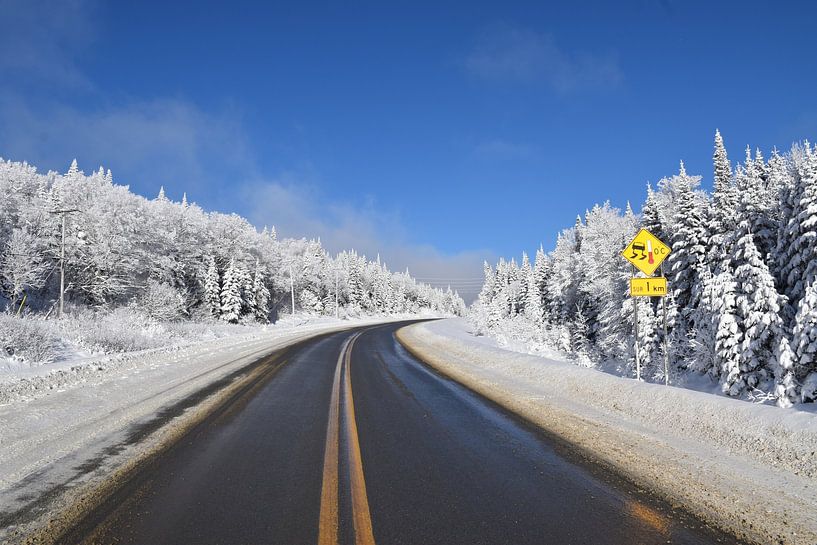 A country road in winter by Claude Laprise
