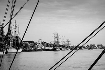 Antwerp - Tall ship races 2016 by Maurice Weststrate
