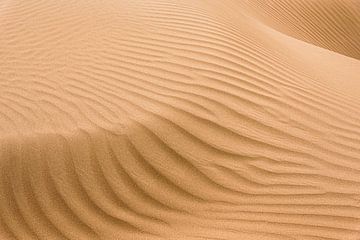 Lignes et ombres d'une dune de sable dans le désert du Karakum | Turkménistan