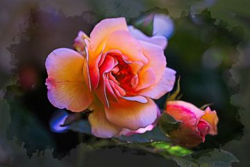 Roos van Rob Boon