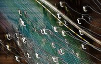 abstracte kunst(boom)