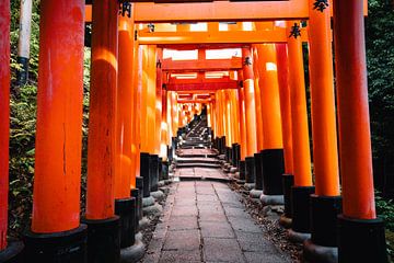 Fushari Inari gates in Kyoto, Japan.