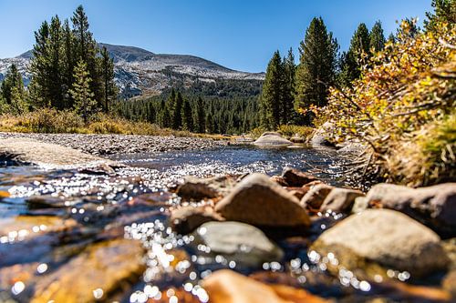 Yosemite National park