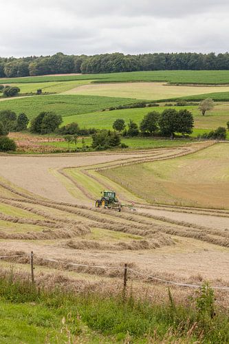 Hooi verwerken op de Limburgse heuvels