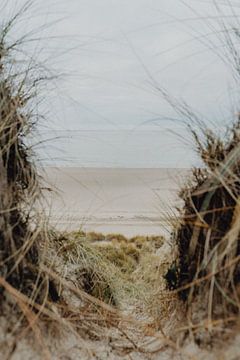 Strand stilleven in de winter van Deborah Hoogendijk - de Does