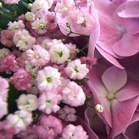 roze gipskruid en hortensia von Nicolet Reus