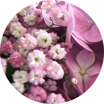 roze gipskruid en hortensia van Nicolet Reus