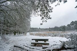 Sneeuw met rustplaats