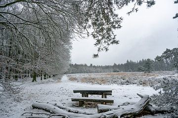 Sneeuw met rustplaats van Hans Hebbink