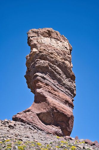 Roque Cinchado