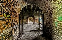 Through the gate