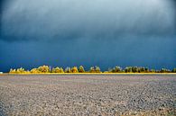 Ligne d'horizon impressionnante Hamdijk, Klein-Ulsda par Jan Sportel Photography Aperçu