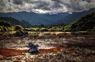 Abel Tasman National Park van Cho Tang thumbnail