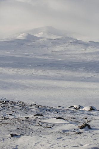Dovrefjell Norway in winter