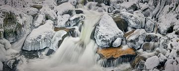Triberg waterval in de winter van Keith Wilson Photography