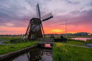 Moulin de Meerburg au coucher du soleil (0022)