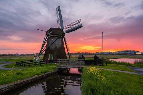 Meerburg mill during sunset (0022)