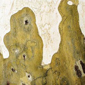 Baumstamm | abstrakte Kunst in der Natur von Ellis Peeters