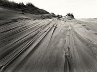 Sand dune on North Sea beach