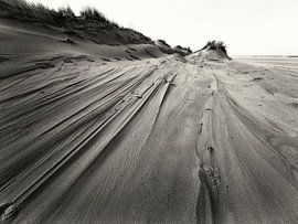 Sand dune on North Sea beach by Schiermonnikoog fotografie