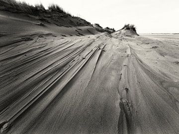 Sanddüne am Nordseestrand von Jan Faber