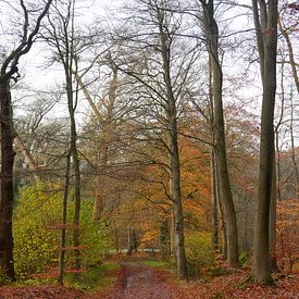 Autumn on an estate by Gerard de Zwaan