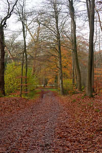 Automne sur un domaine