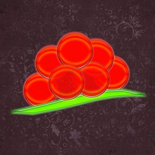 Bollenhut Artwork - 4.5
