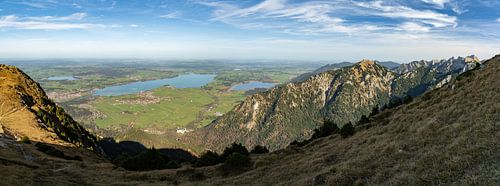 Uitzicht op de Forggensee, Neuschwanstein, schwangau, Tegelberg