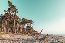 West Beach van Steffen Gierok