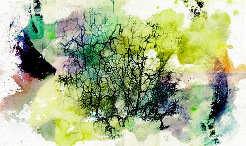L'âme de la forêt