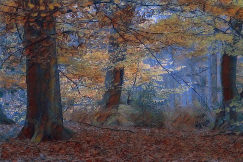 Herbst im Wald von Nick Holland