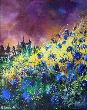 Bleuets 241203 van pol ledent