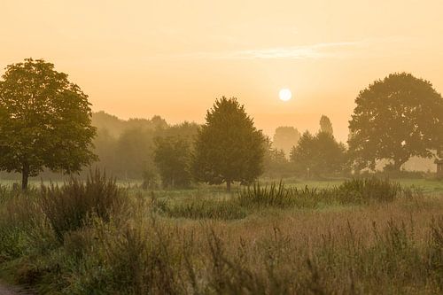 Coulisselandschap, Gaanderen