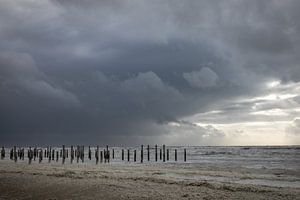 Palendorp Petten
