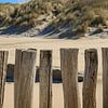 Verweerde palen op een strand in Zeeland van Laura V