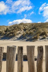 Verwitterte Pfähle an einem Strand in Zeeland